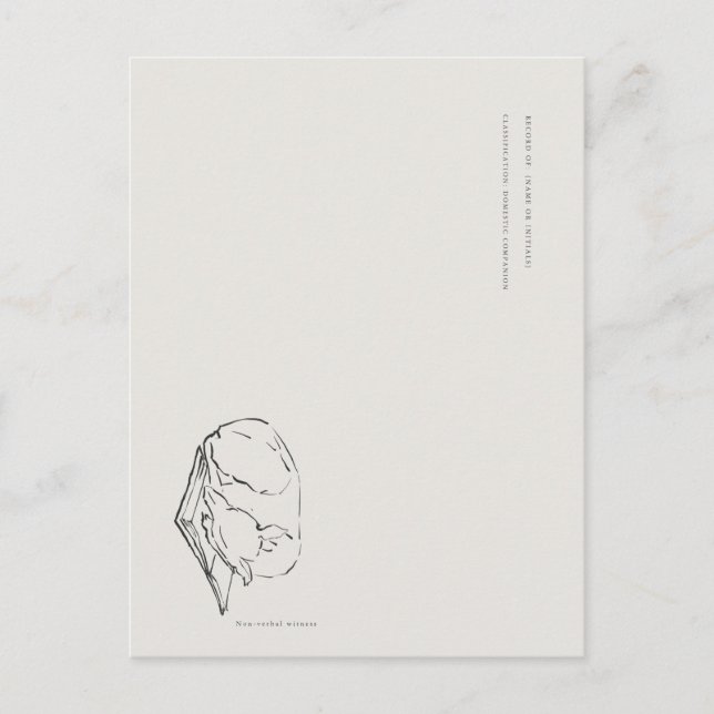 Postal Greyhound- Naturalist Menagerie Archive  (Anverso)