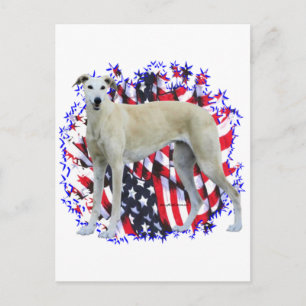 Postal Greyhound Patriot