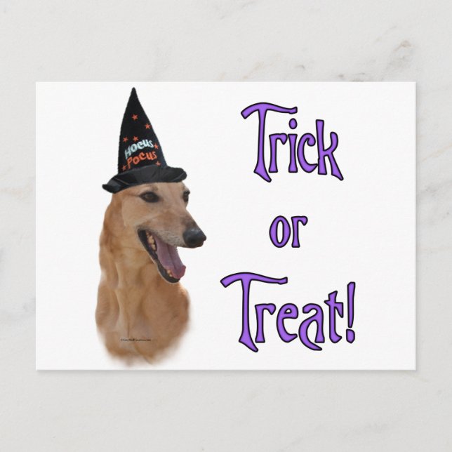 Postal Greyhound (rojo) Trick (Anverso)