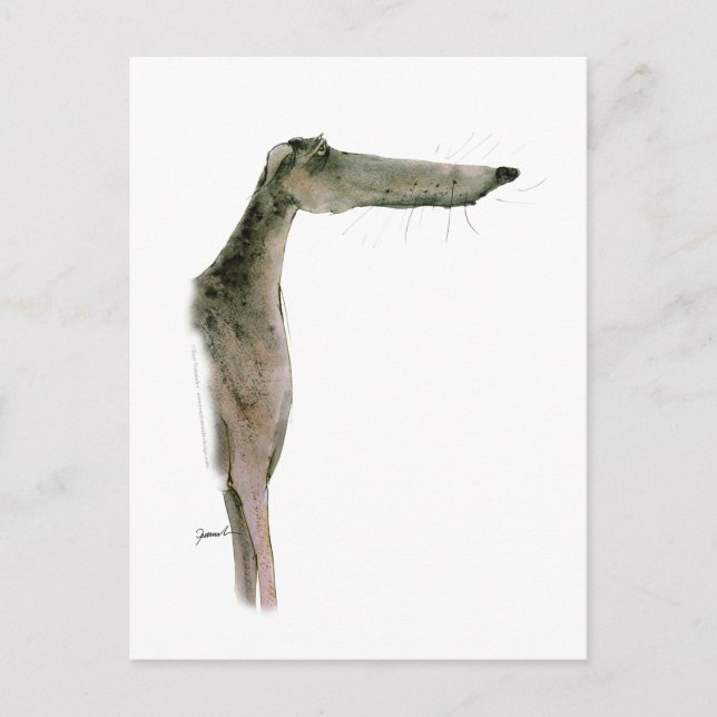 Postal Greyhound, tony fernandes (Anverso)