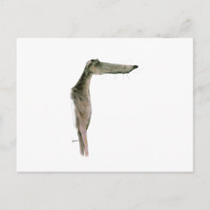Postal Greyhound, tony fernandes