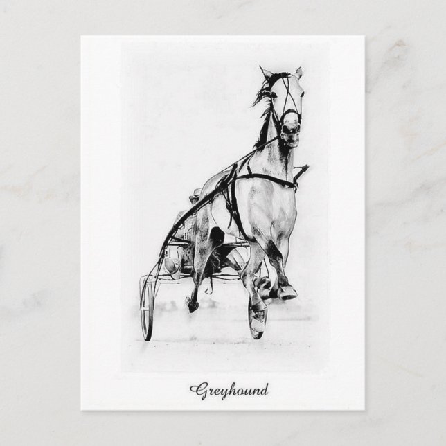 Postal Greyhound Trotter (Anverso)