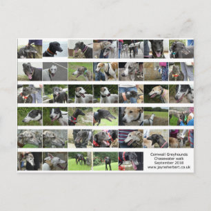 Postal Greyhounds de Cornwall - setiembre de 2018