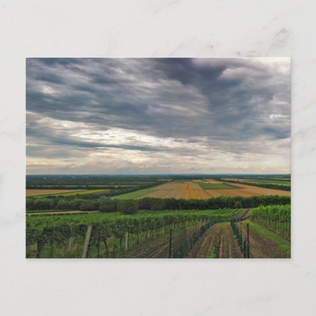 Postal "Griffin" (Anverso)