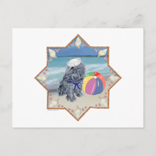 Postal Griffon de Bruselas en la playa