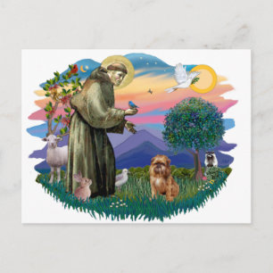 Postal Griffon de Bruselas (marrón/rojo)