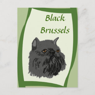 Postal Griffon negro de Bruselas