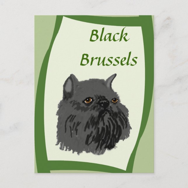 Postal Griffon negro de Bruselas (Anverso)