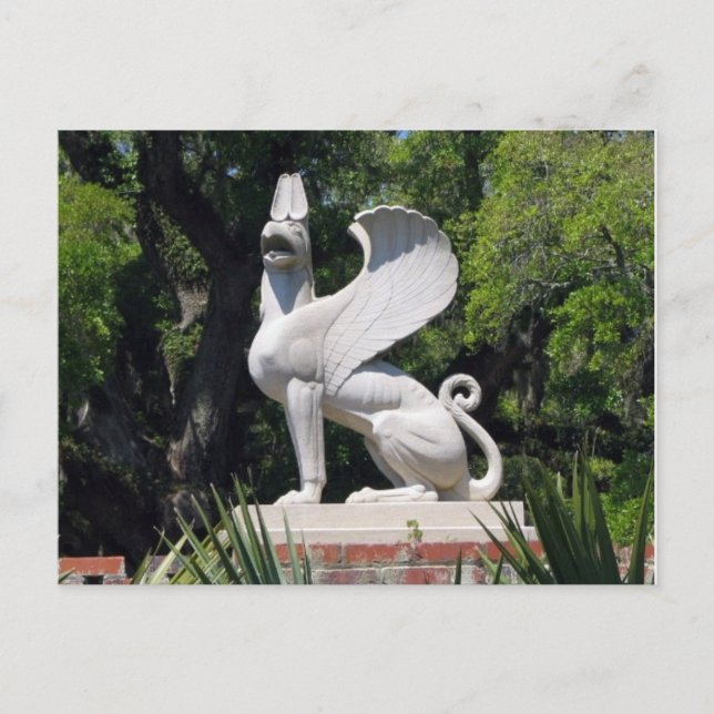 Postal Griffon POSTCARD (Anverso)