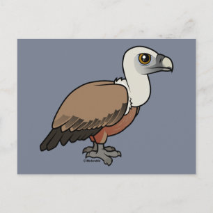 Postal Griffon Vulture