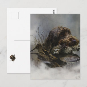 Postal Grifón de pelo duro apuntador, caza de chocha