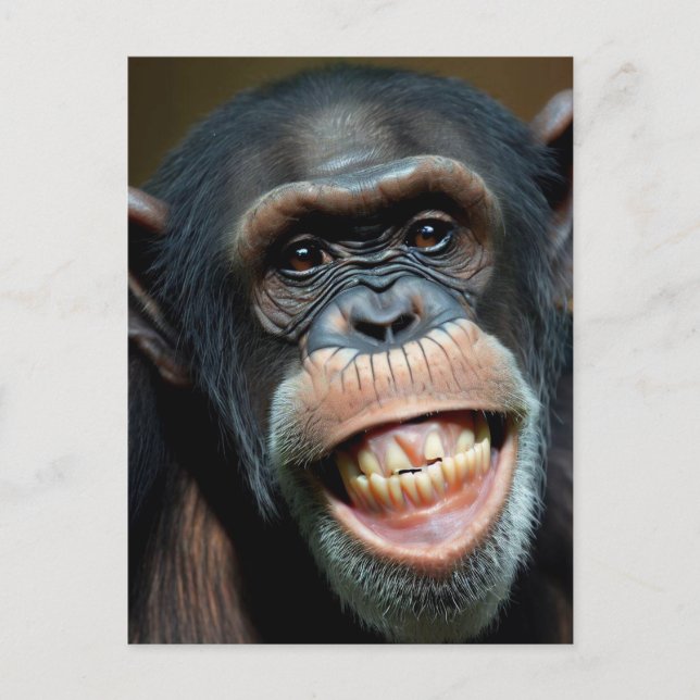 Postal Grinning Chimpanzee (Anverso)