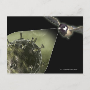 Postal Gripe aviar saliendo de aves