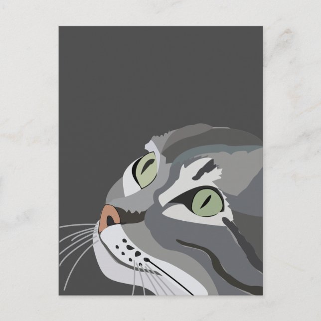 Postal Gris Cat Face (Anverso)
