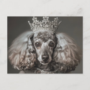 Postal Gris Poodle vestido de princesa