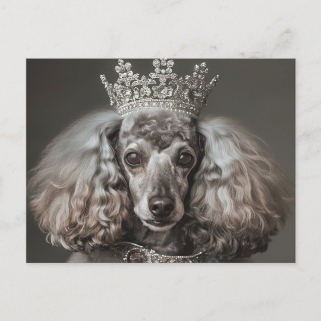 Postal Gris Poodle vestido de princesa (Anverso)