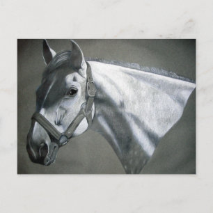 Postal Gris sobre el arte ecuestre gris