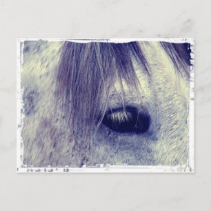 Postal Gris vintage