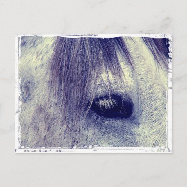 Postal Gris vintage (Anverso)