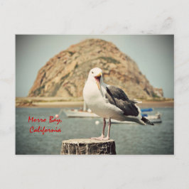 Postal Gritando a Seagull Morro Bay, California