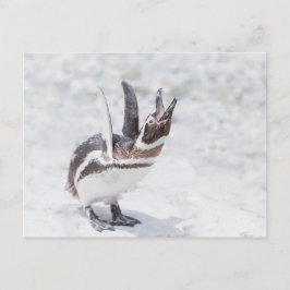 Postal Gritando pingüino