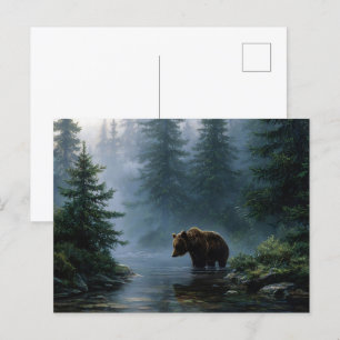 Postal Grizzly Bear Misty Forest