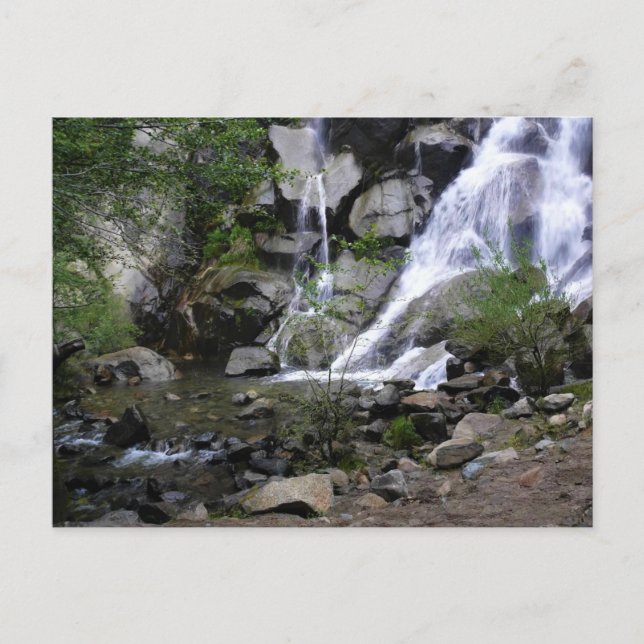 Postal Grizzly Falls, Parque Nacional del Cañón del Rey,  (Anverso)
