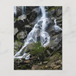 Postal Grizzly Falls, Parque Nacional del Cañón del Rey,