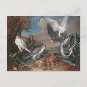 Postal Groenlandia Cyr Falcons