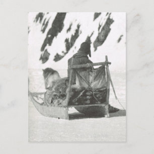 Postal Groenlandia vintage, viajando en trineo
