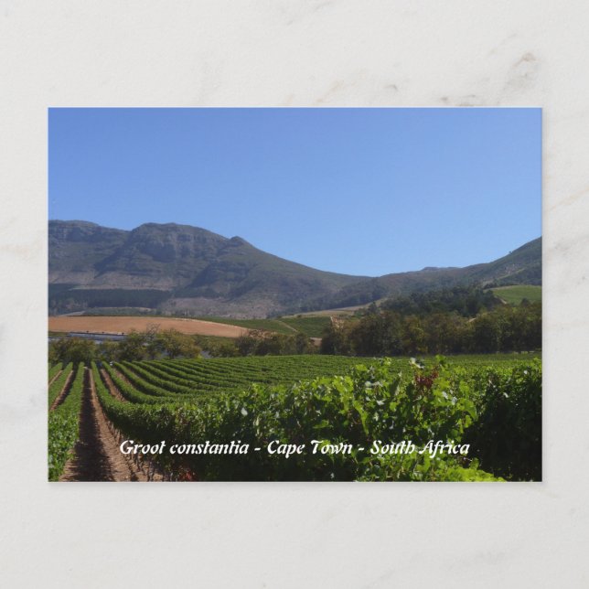 Postal Groot Constantia - Ciudad del Cabo - Sudáfrica (Anverso)
