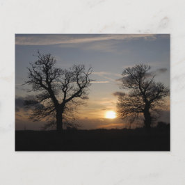 Postal Groove Sunset