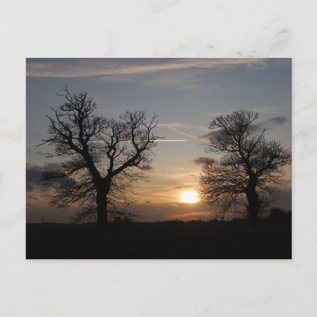 Postal Groove Sunset (Anverso)