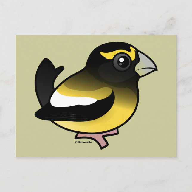 Postal Grosbeak nocturno (Anverso)