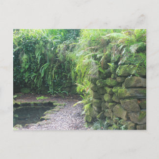 Postal Grotto de Pond