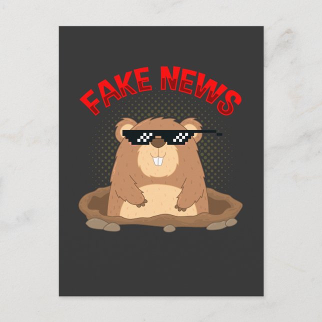 Postal Groundhog Day Fake News Pennsylvania Punxsutawney (Anverso)