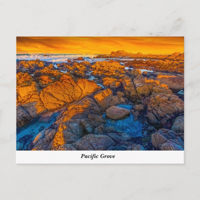 Postal Grove del Pacífico (Anverso)