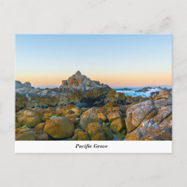 Postal Grove del Pacífico