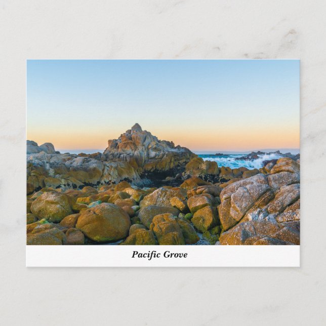Postal Grove del Pacífico (Anverso)