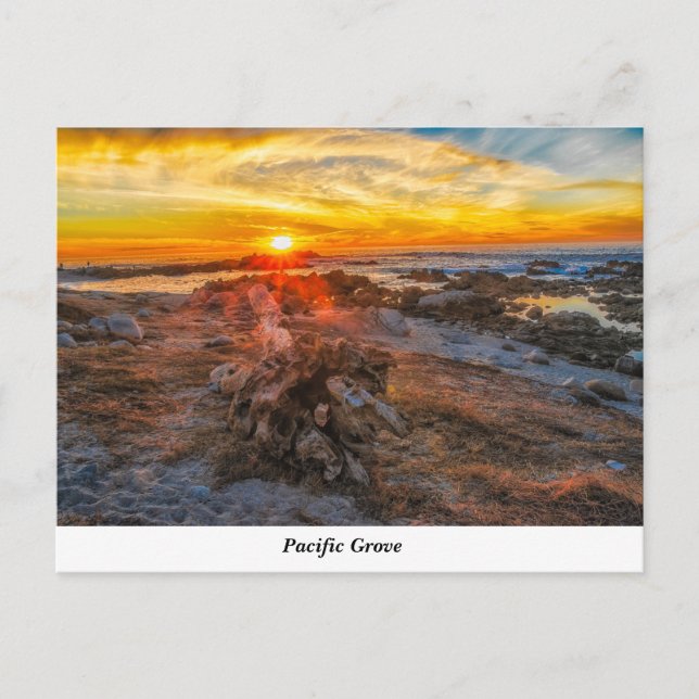 Postal Grove del Pacífico (Anverso)