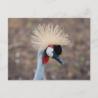 Postal Grúa cruzada de gris