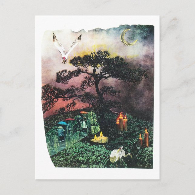 Postal grúas (Anverso)