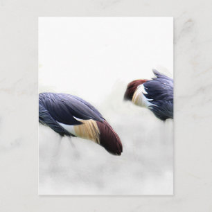 Postal grúas par pareja personalizado personalizar proyec