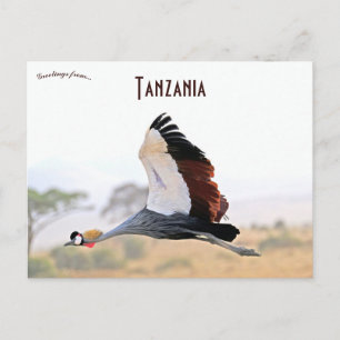 Postal Grulla coronada en Tanzania