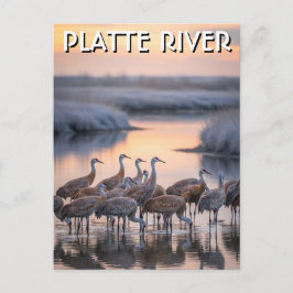 Postal Grullas de la arena del río Platte Viajes a Nebras