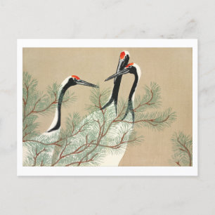 Postal Grullas de Momoyogusa