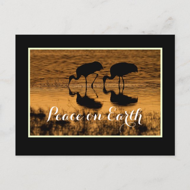 Postal Grullas y paz en la Tierra con fronteras (Anverso)