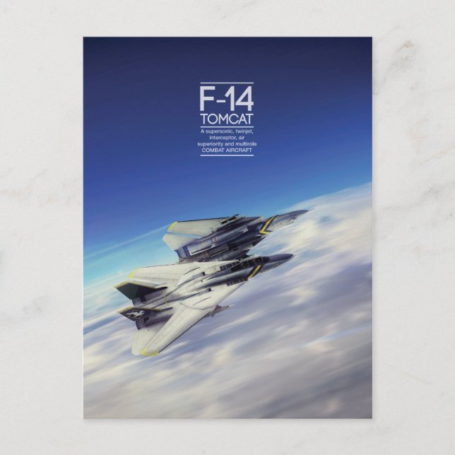 Postal Grumman F-14 Tomcat (Anverso)