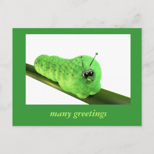 Postal Grüne Raupe