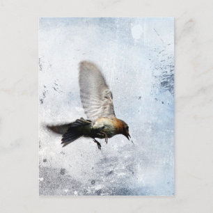 Postal Grunge del pájaro azul